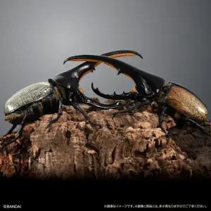 코뿔소 벌레 곤충 헤라클래스 딱정벌레 장수풍뎅이