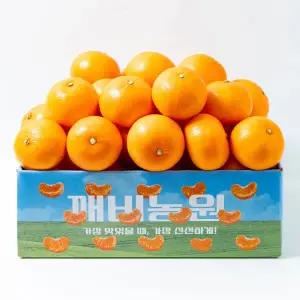 깨비농원 고당도 제주 천혜향 중과 12Brix 4.5kg 1개