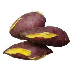 [해남미소] (사)해남고구마생산자협회 비세척 밤고구마 5kg