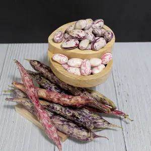 국산 호랑이콩 건조 울타리 매화 혼합강낭콩 500g 1kg 2kg