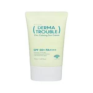 [셀러허브 1]후시다인 더마 트 러블 징크 카밍 선크림 50ml(SPF50+)(SH)