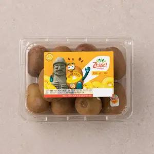 제주 골드키위 900g내외 팩