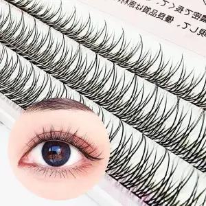 [비케이엠_62]V형 미용티슈 부분래쉬 스위니 데일리