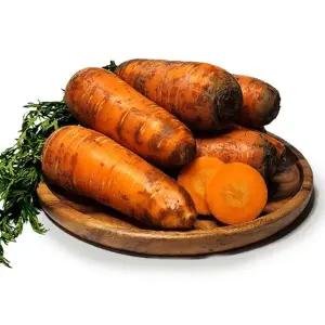 갤러리아 제주 구좌 당근 왕 9kg