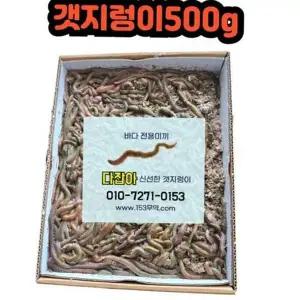 갯지렁이 낚시 미끼 청개비 낚시 미끼 생물 미끼용 원투 찌낚시