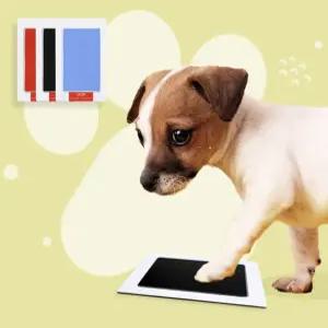 발도장 네모 프린팅 고양이 석고 백일 선물 보관 반려동물 키트 백년 손바닥