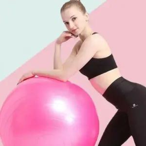 짐볼 짐벌 필라테스 층척 볼 65cm