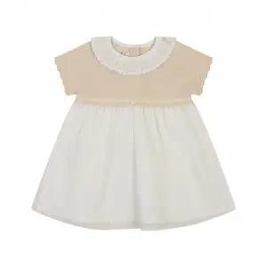 에뜨와 (2026여름)엘라니트OPS 07T324004