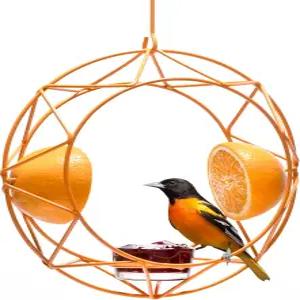 야외용 MEKKAPRO 선 볼티모어 오리올 공급기 젤리 및 오렌지 메탈 버드 독특한 디자인과 밝은 색상의 오픈