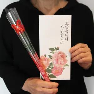 어버이날 스승의날 카네이션 꽃 용돈 봉투 세트 조화 돈 선물 부모님 생신 생일 감사 기념일
