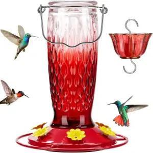 야외용 킹야드 벌새 모이통 24온스 개미 해자 및 6개의 꿀벌 보호대 먹이 포트가 있는 유리 누수 방지 레드