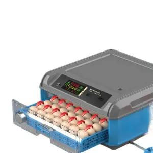 부화 업소용 유정란 달걀 가정용 병아리