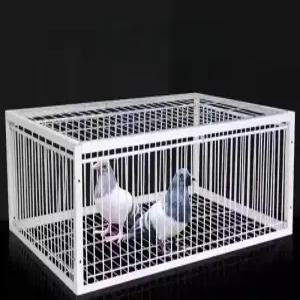 조류 포획 케이지 울타리 함정 참새 야생동물 철망 야외