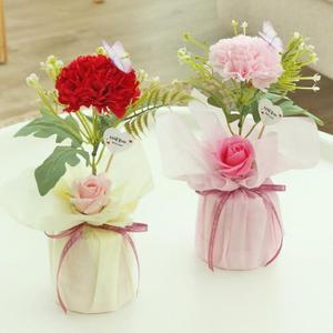 VCO 한송이 카네이션 선물