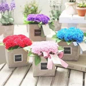 VCO 감사하는마음(대) 레드 어버이날 카네이션