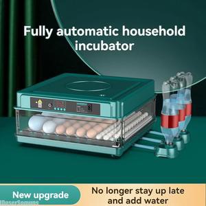 소형 인큐베이터 완전 루딘 캐비닛 8구 에그 유지 오리 파충류 자동회전 부화 배양 홀딩