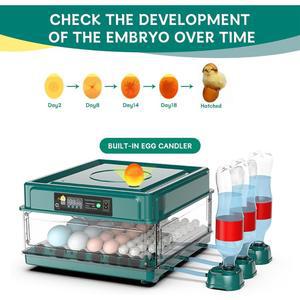 부화기 가금류 부화 121 용품 병아리 전원 사료통 터닝 메추 부화용 육추기 모이통