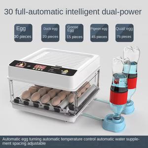 30 가정용 계란 인큐베이터 부화기 제어 조절기 30알 유정란 육추기 완전 거북이 관찰용