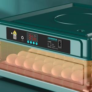 이온 10 12 24 제어 1pcs 3 1V 12V 인버터용 베드 밸런스 자동차