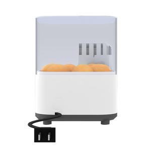 소형 완전 자동 인큐베이터 스크린 농장 라거스 24 아스파 가정용 타입