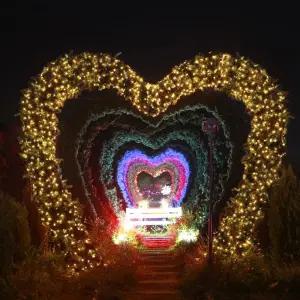 마스전구 마스 웜색 전구 녹색선 조명 연결형 100구 10M LED l