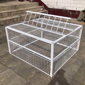 조류 비둘기트랩 틀 60x60x50cm 채광창 철장 화이트 40x30x26cm 아연