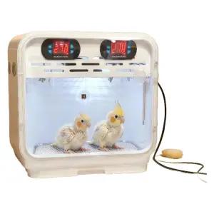 앵무새 인큐베이터 둥지 이중 부화기 사육 온도조절 온열