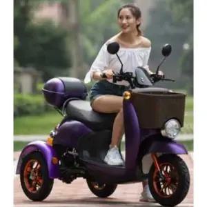 삼륜오토바이 스쿠터 전동 바이크 삼륜 전기오토바이