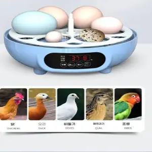 픽유아 11번가 부화용 오리알 계란 병아리 이어 부화기 소형 4개(수동) 달걀