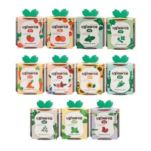 식물키우기키트 학교 학원 어린이 방울 토마토 딸기 해바라기 당근 새싹 씨앗 키우기 세트