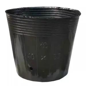 대용량 비닐포트 모종 화분 대량 육묘컵 육묘 묘목 분갈이