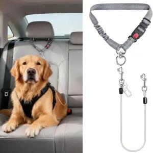 자동차용 이디펫 반려견 안전벨트 2개 스테인리스 스틸 씹힘 방지 3 in 1 하네스 중형 및 대형견용