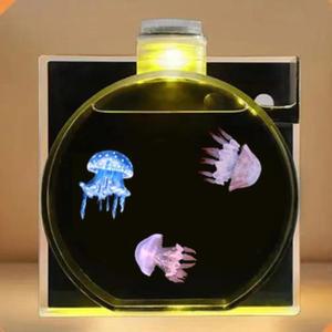 장식 해파리 5마리 회전 붉은달해파리 해수어항세트 산소공급 수족관 애완