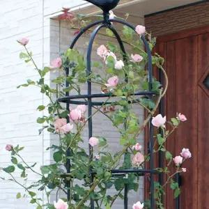 오벨리스크 식물 넝쿨 블랙 덩굴 장미 덩쿨 가든 프레임