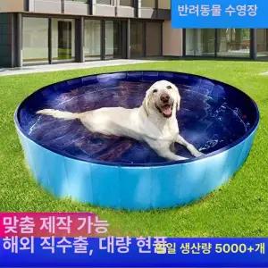 대형견수영장 목욕탕 물놀이 반려견 애견 목욕 대형견
