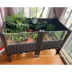 육지거북이 사육장 오픈형 집 소동물 거북이 키우기