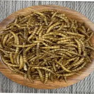 스텐장난감 열풍건조 밀웜 소동물/새/햄스터사료 20gx16개