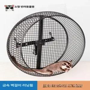 해이프 다람쥐 쳇바퀴 골든 햄스터 장난감 친칠라 러닝볼