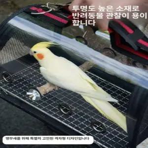 해이프 앵무새 애완조류 휴대용 비행기 차량용 접이식 산