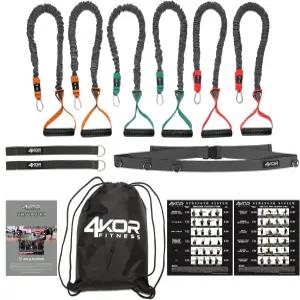 4KOR 크로스 앵커 어깨 성능 훈련 시스템. 손잡이가 있는 저항 코드와 동적 운동 가이드. 재활 및 근력을