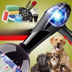 애견 헤어드라이어 목욕 고양이 애완견 대형견 애완동물 건조기