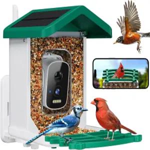 카메라가 장착된 스마트 버드 피더 AI 조류 종 식별 태양광 패널 야외 정원용 2.5k HD 비디오 하우스