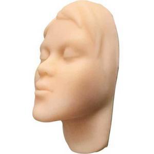 연습 얼굴 모형 팔뚝 액세서리 근육 과 채혈 페이스 인체 얼굴모형 구조