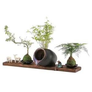 수반여과기 상면여과 수조 일반형 대나무 상면 필터 어항