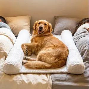 덴메이트는 반려동물이 밤에 위에서 잠을 자나요 최초의 침대 위 강아지 침대를 사용해 보세요. 반려견과