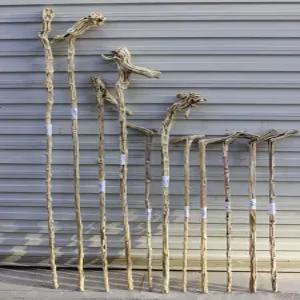 나무지팡이 효도지팡이 감태나무 원목 등산 스틱 노인정