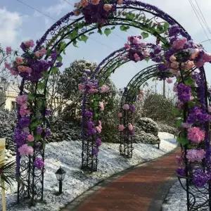 장미 넝쿨 울타리 가든아치 대문 화단 아치형 정원