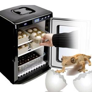 파충류부화기 인큐베이터 게코 도마뱀 해칭 거북이