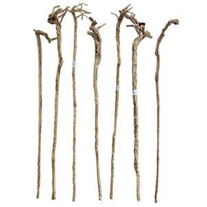 도사 지팡이 천연 스님 나무 모델 등나무