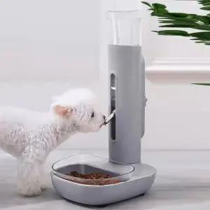 고양이 강아지 식수대 물그릇 급수기 애견 급수대 물병